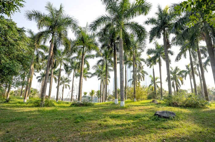 江西公布2025年普通高校招生艺术类专业统考成绩 如何申请复核