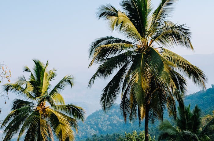 黑龙江2024年高考普通类高职（专科）提前批A段网上征集志愿通知