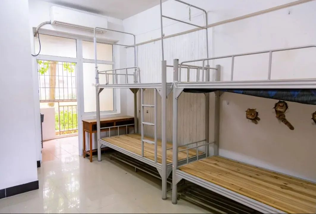 厦门城市职业学院宿舍条件怎么样，有空调吗（含宿舍图片）