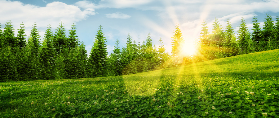 张雪峰说贵州最好就业的大学：选对这些大学，轻松在职场站稳脚跟