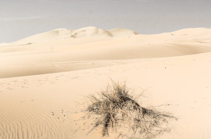 福建2024年高考高职（专科）提前批常规志愿录取结果已公布