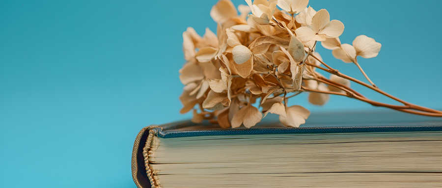 2026年陕西省大学代码一览表:政法类高校招生代码查询