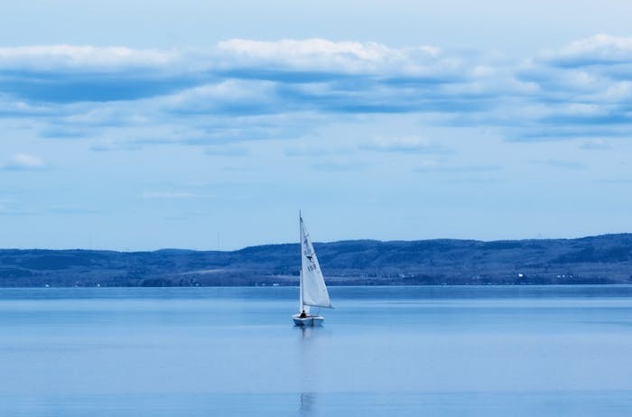 广东2024年高考提前批专科农村卫生专项正式投档