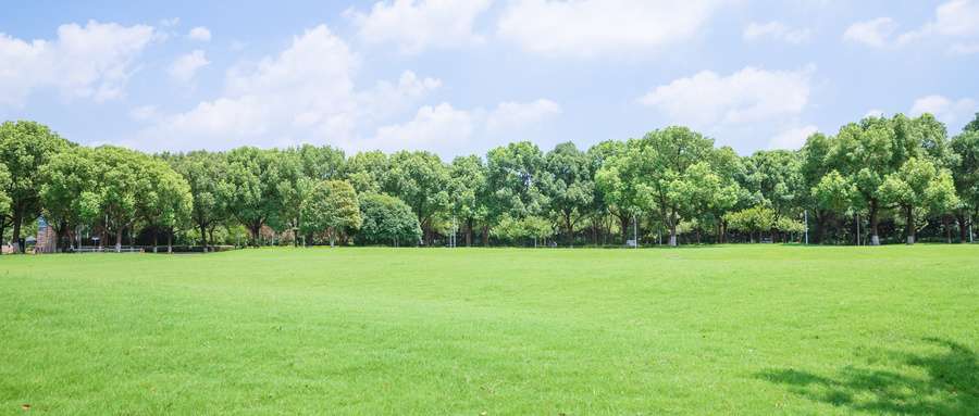 985中外合作办学一览表!附2025年录取分数线