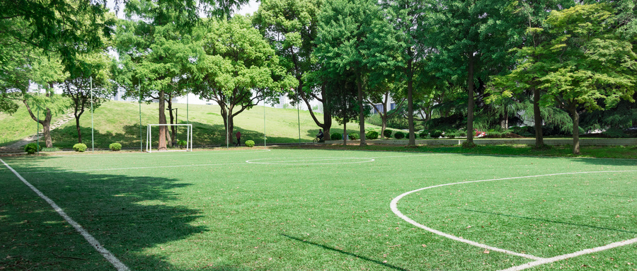 2025江苏高考分数线及成绩排名表！附各大学录取位次