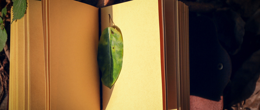 广东新高考政策解读2026版：含赋分规则、等级对照表