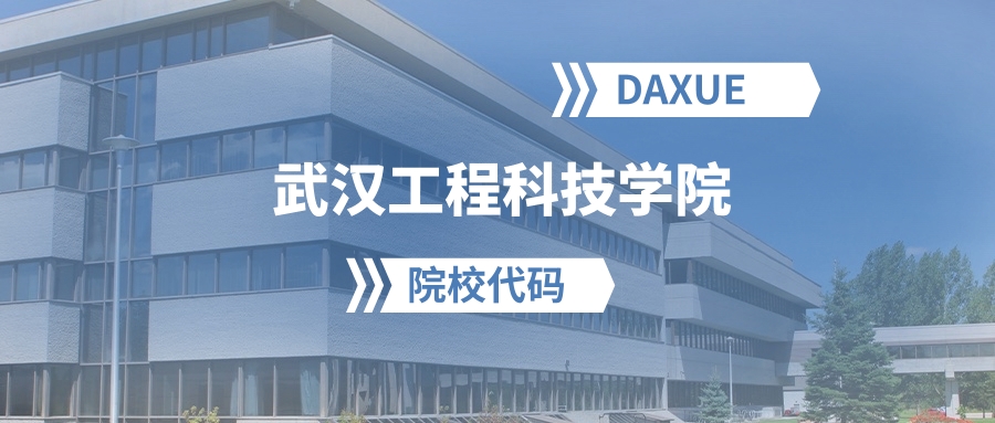 2026年武汉工程科技学院院校代码是多少？附招生专业代码