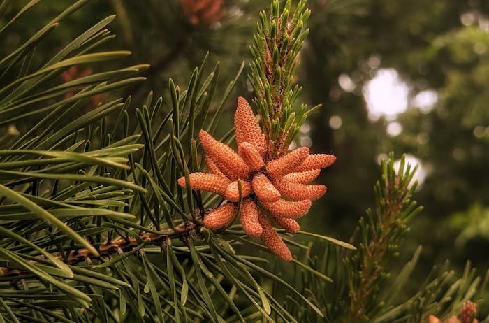 云南举行2025年高考综合改革适应性演练的公告