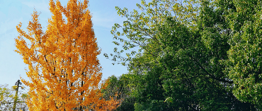 2026阳光高考官网登录入口：高校专项计划报名系统