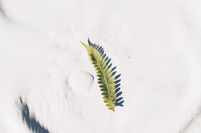 山西2024年普通高校招生网上填报志愿(第五段)公告