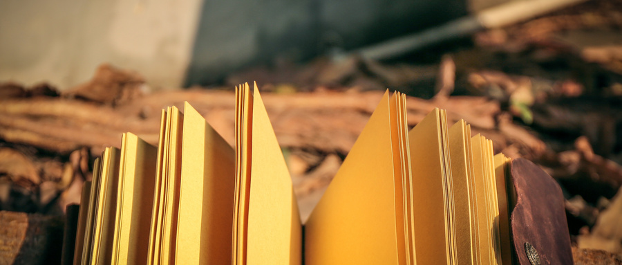 湖南新高考政策解读2026版：含赋分规则、等级对照表