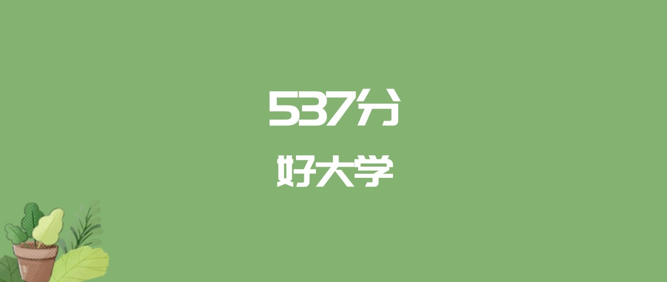 537分能上什么大学？附文科大学名单（2026高考）
