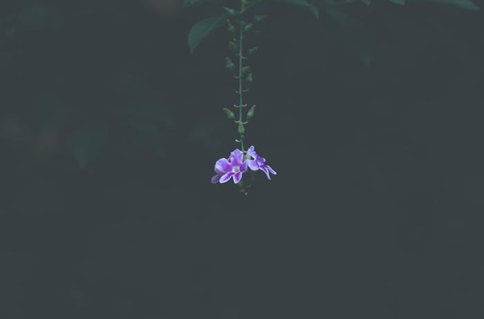 山西举行2025年高考综合改革适应性演练的公告