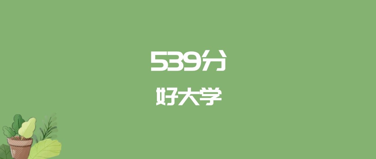 539分能上什么大学？附理科大学名单（2026高考）