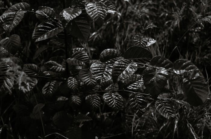 内蒙古自治区2025高考报名时间什么时间 哪天截止