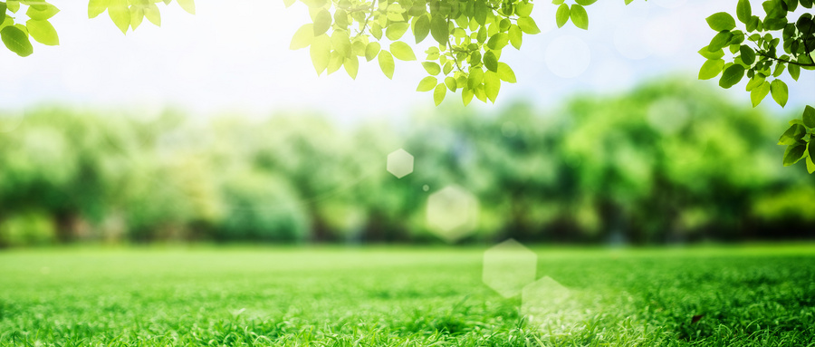 青海2026高考人数统计：含物理类、历史类人数