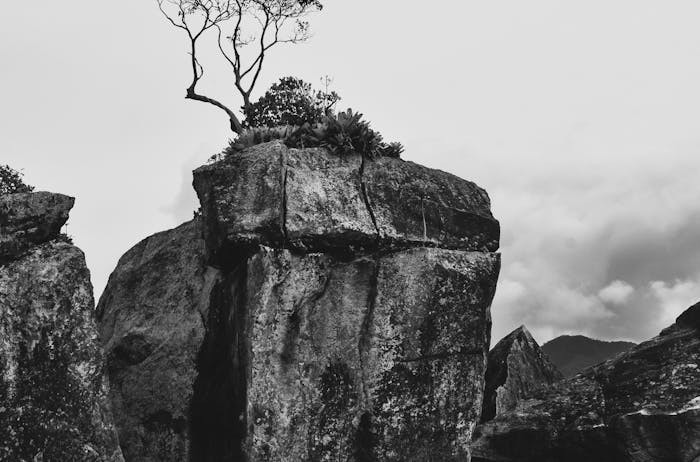 黑龙江2024年高考招生普通类高职（专科）提前批B段网上征集志愿通知