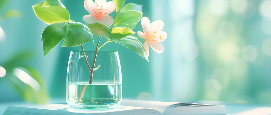 2026年上海市大学代码一览表：语言类高校招生代码查询