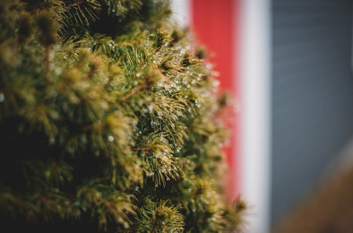 四川省2024年普通高校专科层次招生补录安排