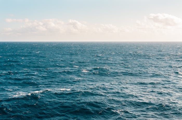 江西2024年高考本科批次缺额院校网上征集志愿的说明