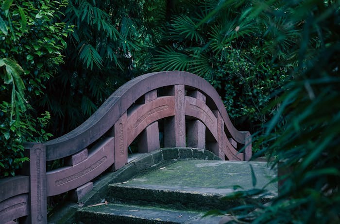 海南省2025年高考艺考统考分数线是多少