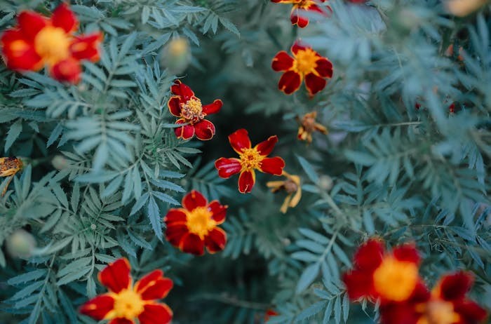 2025年10大中医学专业最好院校推荐 哪些院校实力强