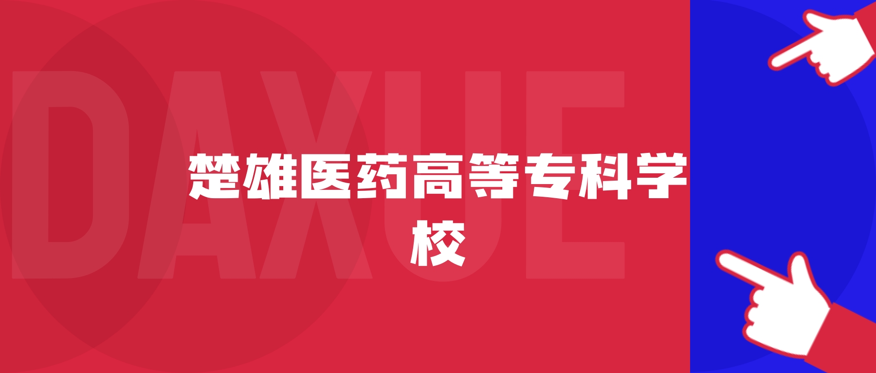 2026年楚雄医药高等专科学校院校代码是多少？附招生专业代码