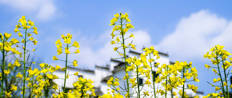 2025广西高考分数线及成绩排名表!附各大学录取位次