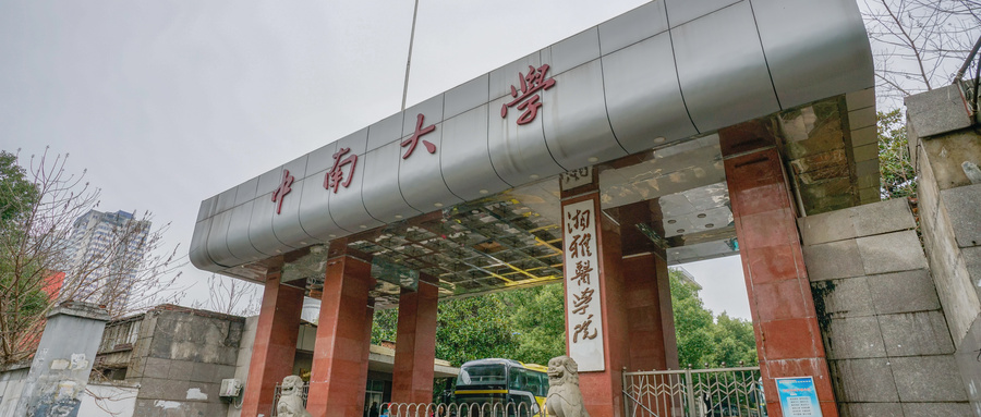 中南大学中外合作办学学费多少？附各专业收费标准（2026参考）
