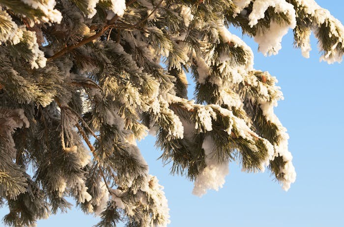 盖茨基金会徐福洁博士将加入昆山杜克大学