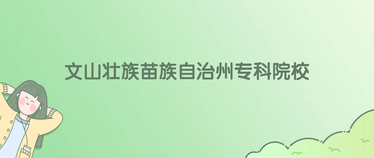 文山壮族苗族自治州专科大学有哪些？看2所完整名单