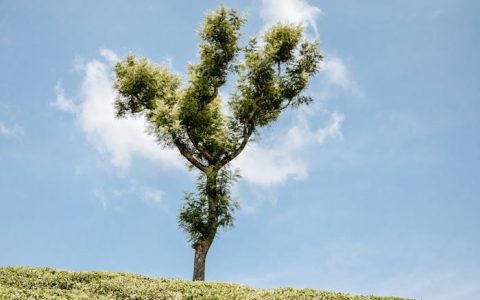 陕西将于6月25日公布2025年高考成绩及各批次最低控制分数线