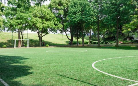 2025江苏高考分数线及成绩排名表！附各大学录取位次