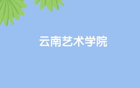 高考530分能上云南艺术学院吗？请看历年录取分数线