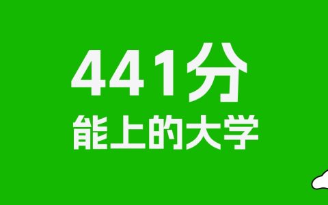 441分左右的理科大学推荐：历史类48所，物理类80所