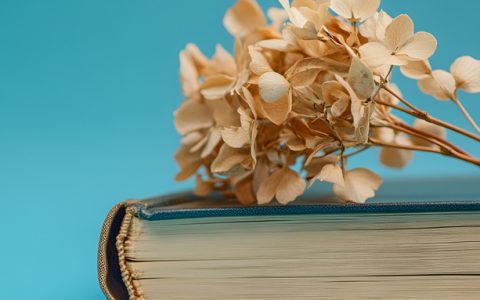 2026年陕西省大学代码一览表：政法类高校招生代码查询