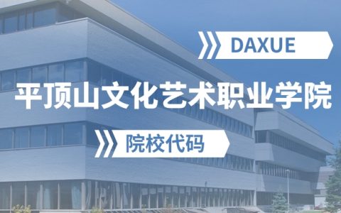 2026年平顶山文化艺术职业学院院校代码是多少？