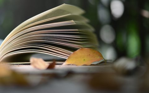 2026年上海市大学代码一览表：农林类高校招生代码查询