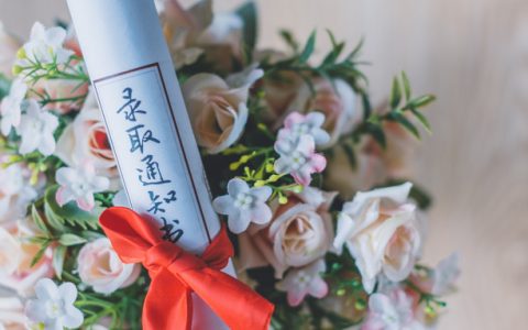 怎么查学校代码和专业代码？附各大学代码一览表（2026参考）