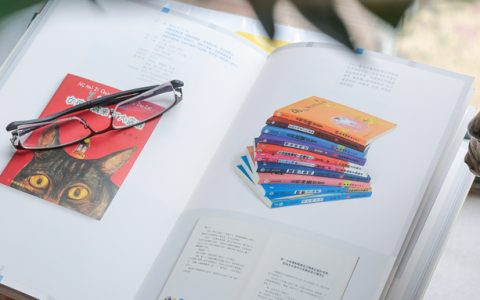 高考530分能上黄河水利职业技术大学吗？请看历年录取分数线