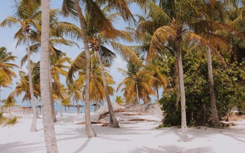 天津市2026年高职分类招生艺术类美术类专业联考报考须知