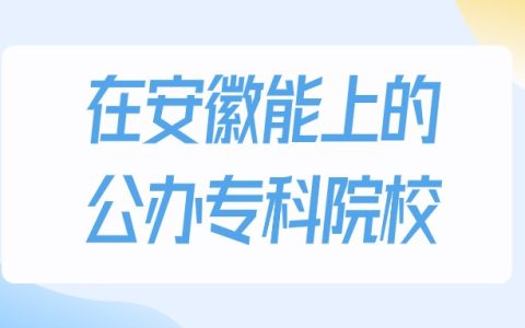 2026年安徽多少分能上公办专科大学？高考物理类最低201分录取