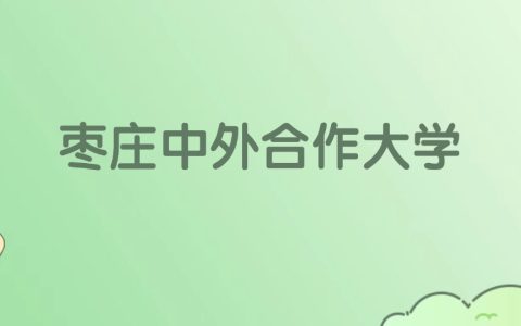 枣庄中外合作大学有哪些？看2所完整名单