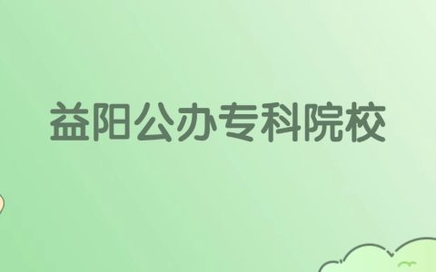 2026年益阳公办专科大学名单（含录取分数线）